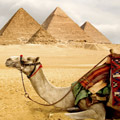 Chameau devant la pyramide de Khops